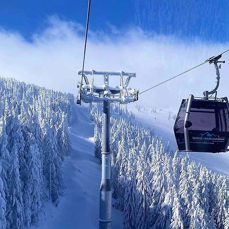 Apartments Foka & Spa - 600M From Gondola Ski Lift Копаоник Екстер'єр фото