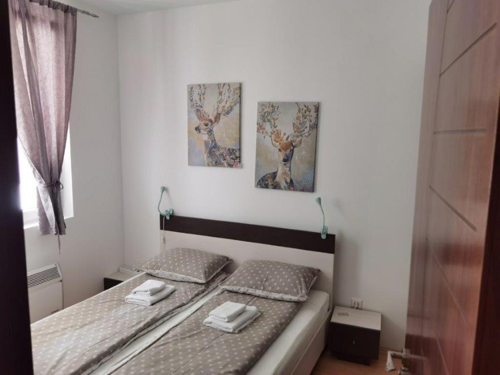 Apartments Foka & Spa - 600M From Gondola Ski Lift Копаоник Екстер'єр фото