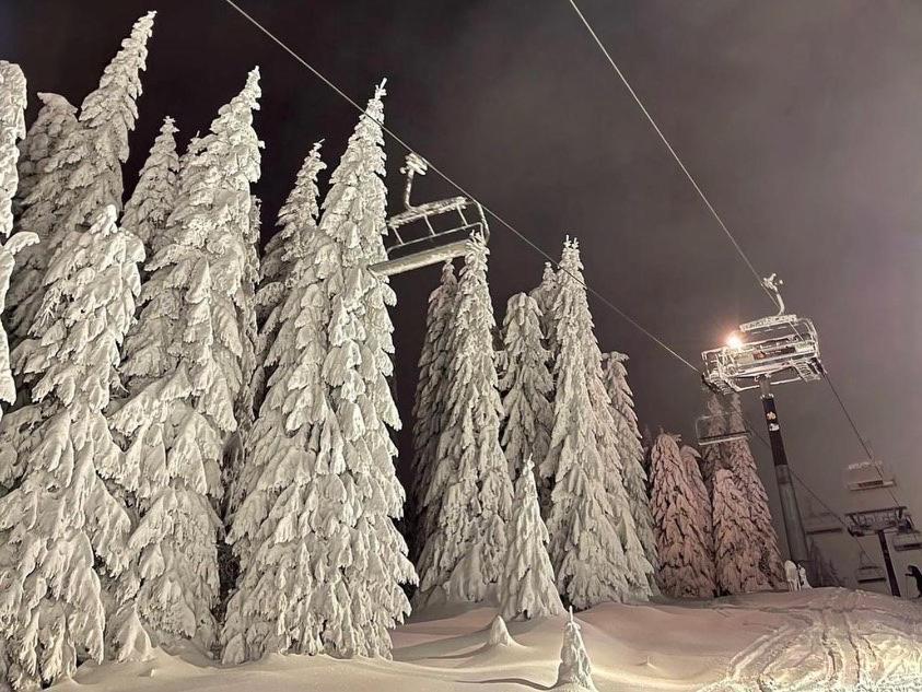 Apartments Foka & Spa - 600M From Gondola Ski Lift Копаоник Екстер'єр фото